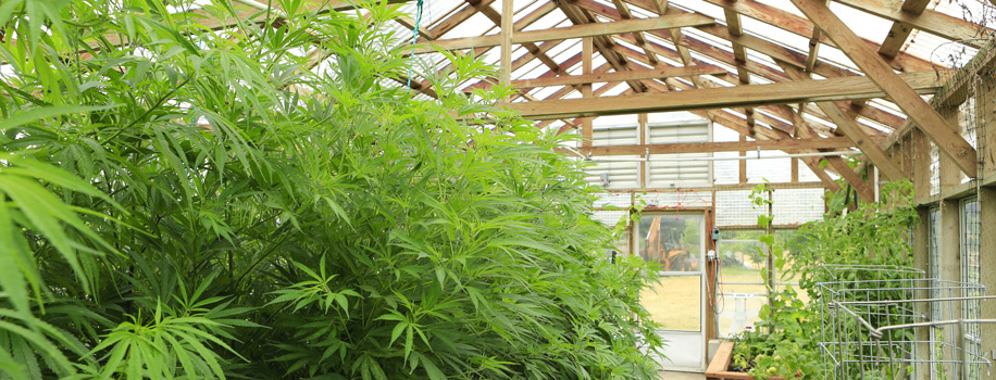 Security Solutions for Apartments in Fort Worth, TX